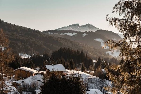 Immobilier Les Gets à Vendre : Votre Guide Complet